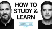Maximize Retention: A Proven Study Protocol to Boost Your Brainpower