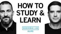 Maximize Retention: A Proven Study Protocol to Boost Your Brainpower