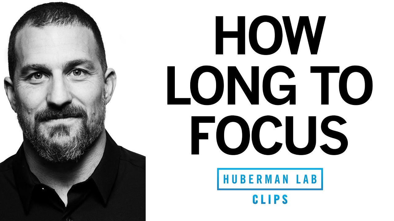Optimal Focus: Mastering the 90-Minute Ultradian Cycles