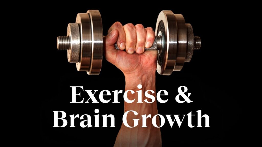 The Neuroscientific Benefits of Exercise: How Physical Activity Boosts Memory and Mood
